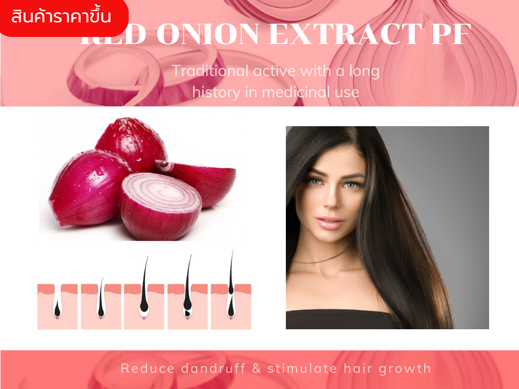 Red Onion Extract PF สารสกัดจากหอมแดง(Allium Cepa)  ช่วยขจัดรังแค ลดการหลุดร่วงของเส้นผมและกระตุ้นการงอกใหม่ของผม